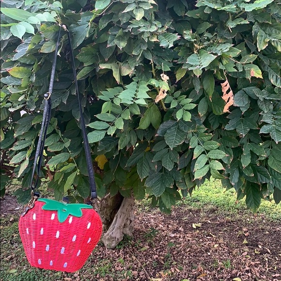 NWOT🍓crossbody/shoulder handcrafted woven bag - Picture 2 of 16